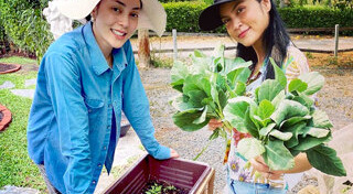 ปลูกผัก