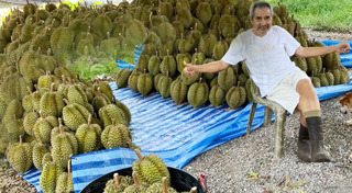 แนน ชลิตา