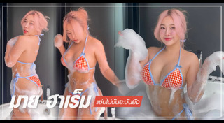 มาย ฮาเร็ม