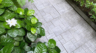 จัดสวนข้างบ้าน