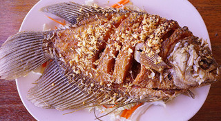 เมนูปลา