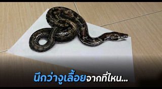 ภาพวาดเหมือนจริง