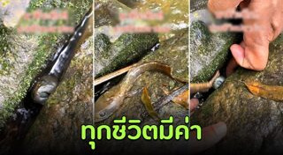 ภาพประทับใจ