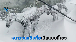 พายุหิมะ