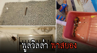 กิ้งกือ