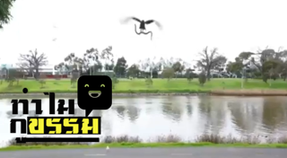 เหยี่ยว