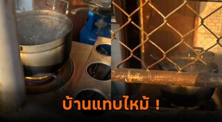 เตาแก๊ส