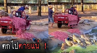 อาหารสัตว์เลี้ยง