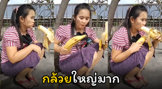 ผลไม้เมืองร้อน