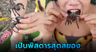 แมงมุม