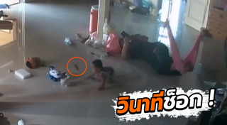 ตะขาบยักษ์