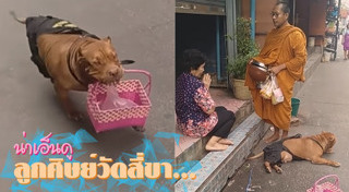 เด็กวัด