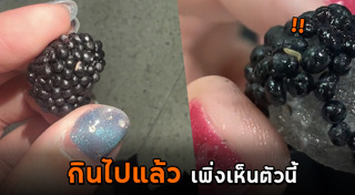 หนอนในอาหาร