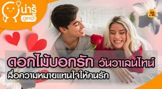 ดอกกุหลาบ