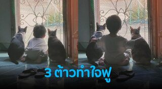 คลิปเด็ก