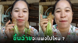 ผักสวนครัว