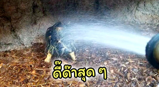 พิพิธภัณฑ์สัตว์น้ำ