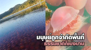 ฟิลิปปินส์