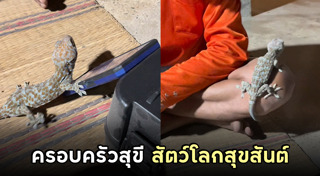 คางคก