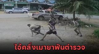 ตำรวจจับคนเมายา