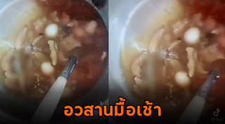 กระเพาะปลา