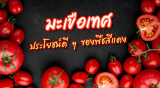 มะเขือเทศ