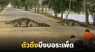 เที่ยวนครสวรรค์