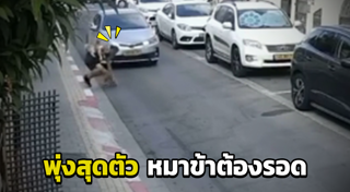 วิ่งตัดหน้ารถ