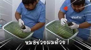 สัตวแพทย์