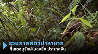 สัตว์ป่าสงวน