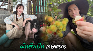 มายด์ ฑาริกา