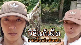 ปลั๊กไฟ