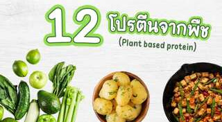 อาหารหลัก 5 หมู่