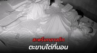 สัตว์เข้าบ้าน