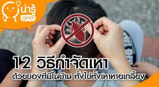 วิธีกำจัดเหา