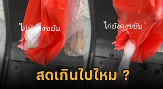 เนื้อไก่