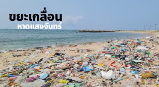 ทิ้งขยะลงทะเล