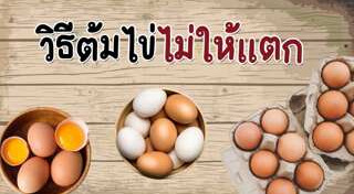 วิธีต้มไข่