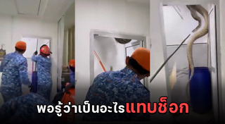 งูเหลือม