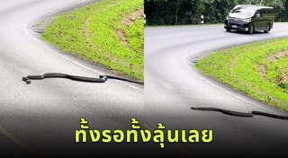 อุทยานแห่งชาติเขาใหญ่