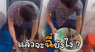 สัตว์ครึ่งบกครึ่งน้ำ