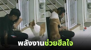 ให้กำลังใจ