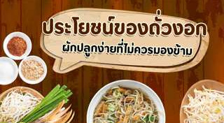 ถั่วงอก