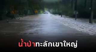 ฝนตก