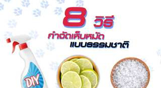 เห็บหมัด