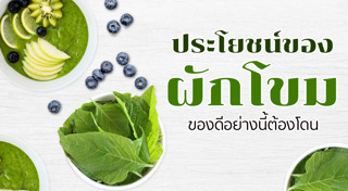 ผักสวนครัว