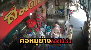 คอหมูย่าง