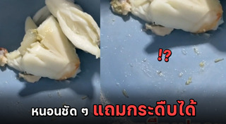 หนอนในอาหาร