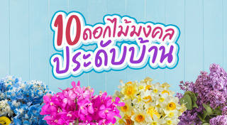 เสริมฮวงจุ้ย