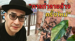 นีโน่ เมทนี